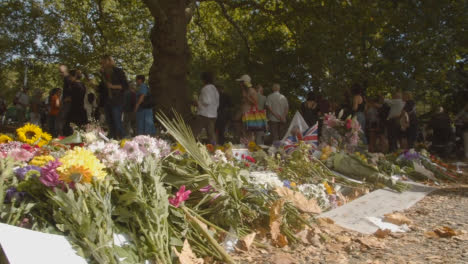 Tracking-Shot-of-Floral-Tributes-In-Green-Park