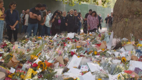 Panning-Shot-of-Hundreds-of-Floral-Tributes-and-Mourners-In-Green-Park