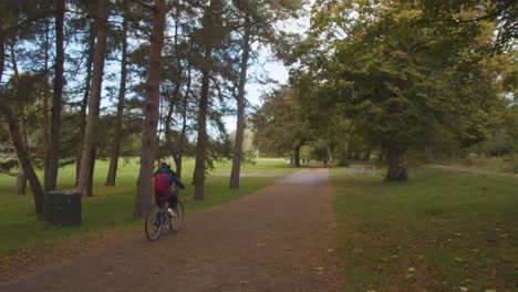 Autumn-View-Of-Bridge-In-Bute-Park-In-Cardiff-Wales-With-Cyclists-2