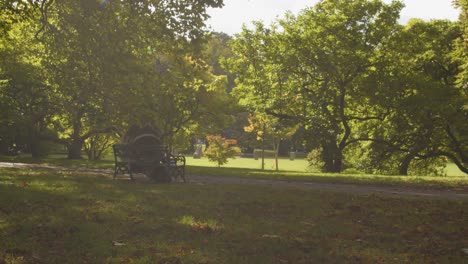 Autumn-View-Of-Bute-Park-In-Cardiff-Wales-With-People-Sitting-On-Bench