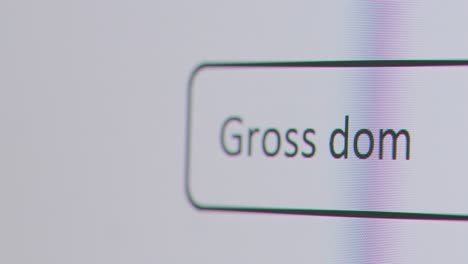 Close-Up-Of-Screen-With-Person-Typing-Gross-Domestic-Product-Into-Computer-Search-Engine