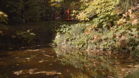 Bridge-Over-Pond-With-Colourful-Autumn-Leaves-In-Arboretum