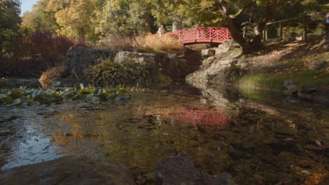 Bridge-Over-Pond-With-Colourful-Autumn-Leaves-In-Arboretum-1