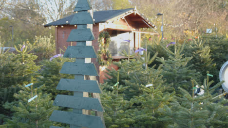 Christmas-Trees-For-Sale-Outdoors-At-Garden-Centre