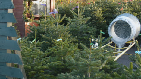 Máquina-Para-Enredar-árboles-De-Navidad-Al-Aire-Libre-En-El-Centro-De-Jardinería-1