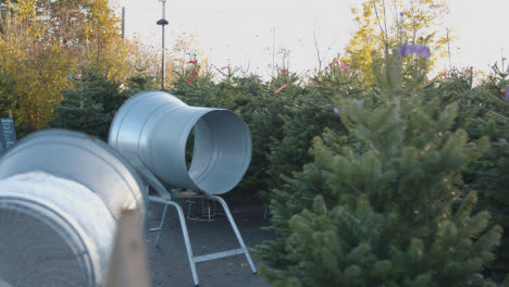 Máquina-Para-Enredar-árboles-De-Navidad-Al-Aire-Libre-En-El-Centro-De-Jardinería-3