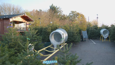 Machine-For-Netting-Christmas-Trees-Outdoors-At-Garden-Centre-7