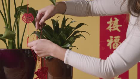 Woman-Hanging-Decorations-Celebrating-Chinese-New-Year-On-Plants-At-Home-With-Banner-In-Background