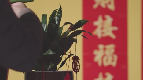 Woman-Hanging-Decorations-Celebrating-Chinese-New-Year-On-Plants-At-Home-With-Banner-In-Background-2