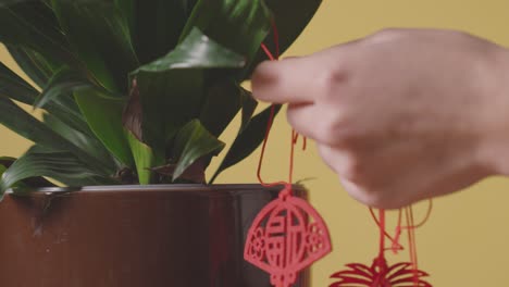 Close-Up-Of-Woman-Hanging-Decorations-Celebrating-Chinese-New-Year-On-Plants-At-Home-