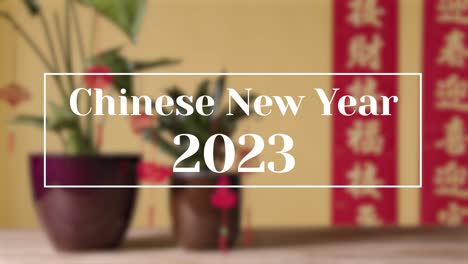 Chinese-New-Year-2023-Graphic-With-Decorated-Plants-And-Banner-In-Background