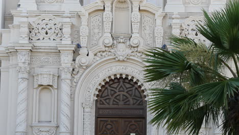 San-Francisco-California-palm-tree-and-Mission-Dolores-Basilica-door