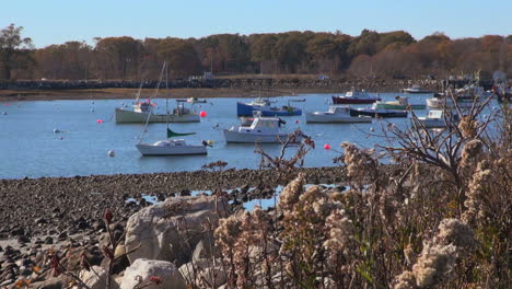 Maine-York-harbor