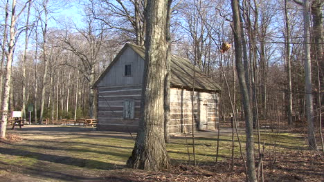Michigan-log-cabin-in-woods