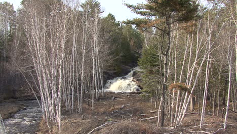 Michigan-waterfall-in-woods