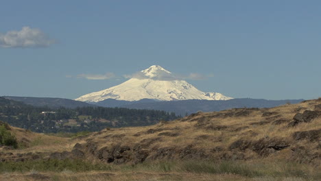 Oregon-Mount-Hood-and-grassland