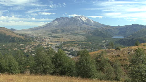 Washington-Mount-St.-Helens-with-row-of-trees