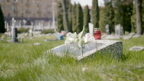 Tombstone-With-A-White-Flower-And-A-Grave-Candle-In-A-Graveyard-On-A-Sunny-Day
