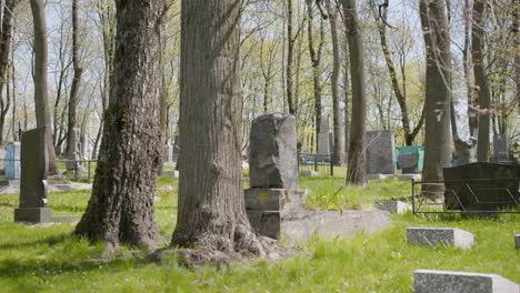 Friedhof-Mit-Grabsteinen-In-Einem-Stadtgebiet-An-Einem-Sonnigen-Tag-11