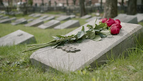 Close-Up-View-Of-Red-Roses-On-Tombstone-In-A-Gravevard