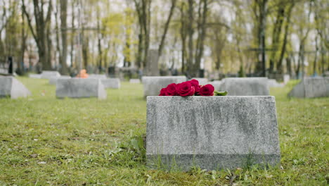 Rear-View-Of-A-Tombstone-With-Red-Roses-On-Top-In-A-Gravevard
