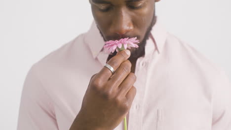 Man-Touching-And-Smelling-Pink-Gerbera-Flower