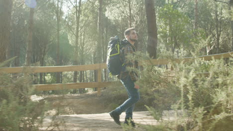 Bearded-Young-Male-Backpacker-Walking-Alone-In-The-Forest
