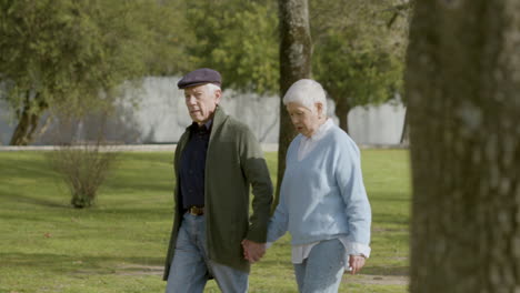 älteres-Paar,-Das-Hände-Hält-Und-Spricht,-Während-Es-An-Einem-Sonnigen-Herbsttag-Im-Park-Spazieren-Geht