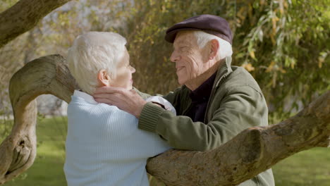 Romantisches-Seniorenpaar,-Das-Sich-An-Einem-Sonnigen-Herbsttag-Auf-Einem-Niedrigen-Ast-Im-Park-Unterhält-Und-Küsst