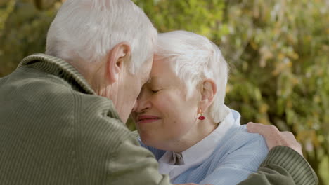 Romantisches-Seniorenpaar-Küsst-Und-Reibt-Sich-Die-Nase,-Während-Es-Am-Sonnigen-Herbsttag-1-Zeit-Im-Park-Verbringt