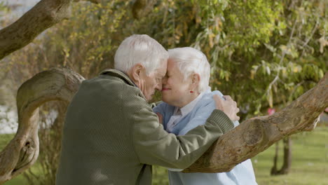 Romantisches-Seniorenpaar-Reibt-Sich-Die-Nase-Und-Küsst-Sich,-Während-Es-Sich-An-Einem-Sonnigen-Herbsttag-Auf-Einem-Niedrigen-Ast-Im-Park-Lehnt