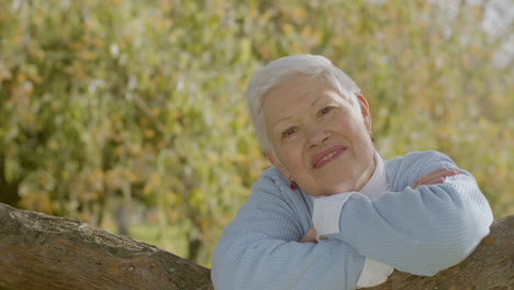 Retrato-De-Una-Anciana-Feliz-Apoyada-En-La-Rama-De-Un-árbol,-Sonriendo-Y-Mirando-La-Cámara-Mientras-Pasa-Tiempo-En-El-Parque-En-El-Soleado-Día-De-Otoño