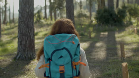 Back-View-Of-A-Red-Haired-Woman-Backpacker-Hiking-In-The-Forest-On-A-Sunny-Day