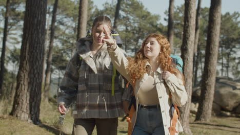 Front-View-Of-Two-Female-Friends-With-Backpacks-Hiking-Together-In-The-Forest-On-A-Sunny-Day