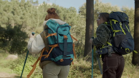Back-View-Of-Two-Young-Female-Backpackers-Hiking-With-Trekking-Poles-In-The-Forest-On-A-Sunny-Day