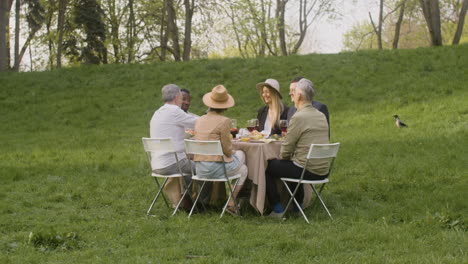 Multirracial-Friends-Having-An-Outdoor-Dinner-In-The-Park