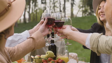 Multirracial-Friends-Toasting-With-Red-Wine-While-Sitting-At-Table-During-An-Outdoor-Party-In-The-Park