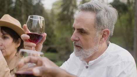 Close-Up-View-Of-A-Middle-Aged-Man-Drinking-Red-Wine-While-Sitting-At-Table-During-An-Outdoor-Party-In-The-Park