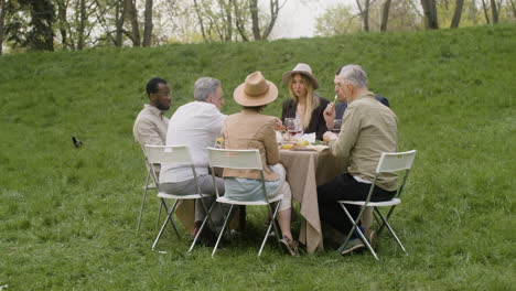 Distant-View-Of-A-Group-Of-Middle-Aged-Friends-Eating-And-Talking-To-Each-Other-Sitting-At-Table-During-An-Outdoor-Party-In-The-Park