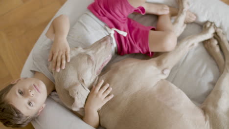 Top-View-Of-A-Pensive-Little-Boy-Petting-His-Dog-While-Lying-With-On-Pet's-Bed-And-Looking-At-The-Camera