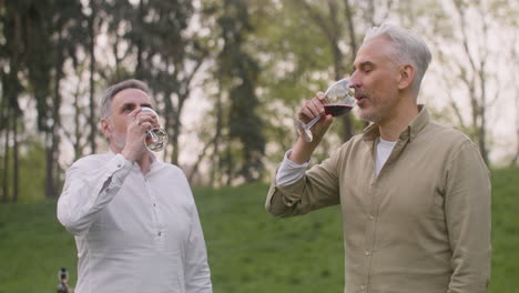 Männer-Mittleren-Alters,-Die-Im-Park-Mit-Weingläsern-Anstoßen