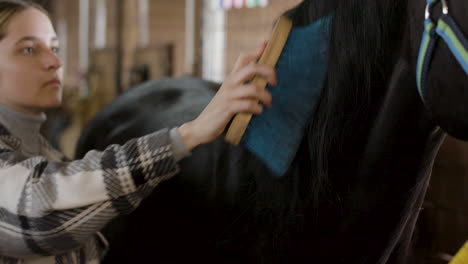Brunette-Woman-Brushing-Black-Horse-At-The-Stable