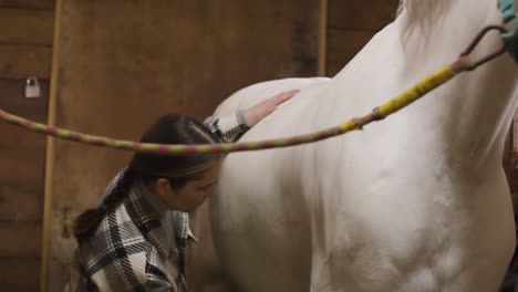 Brunette-Young-Girl-Using-Brush-On-Her-White-Horse