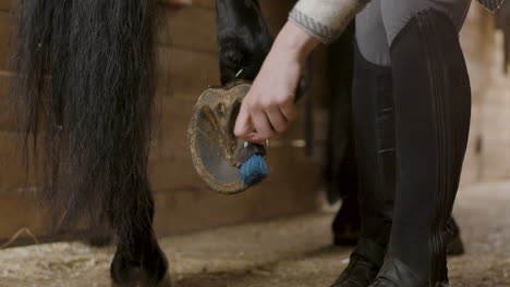 Horse's-Owner-Cleaning-The-Hoof-And-The-Horseshoe