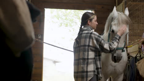 468px x 264px - Free stock video - A girl with a braid petting a brown horse
