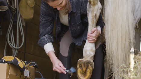 Closeup-Footage-Of-Young-Woman-Cleaning-Horse's-Hoof
