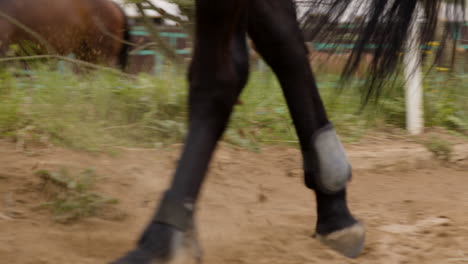Jockey-Riding-And-Galloping-On-Black-Horse