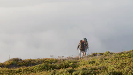 Long-shot-of-a-senior-hikers-walking-with-trekking-poles