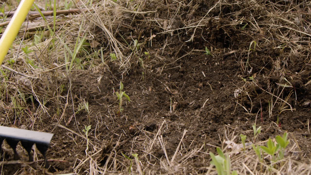 Free stock video - Close-up view of a rake plowing the weeds in the forest