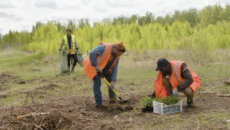 Dos-Activistas-Ecologistas-Plantando-árboles-En-El-Bosque-Mientras-Un-Colega-Se-Les-Acerca-Con-árboles-En-Un-Saco